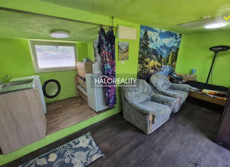 An interior with green walls, armchairs, a kitchen unit, and a wooden decor floor.