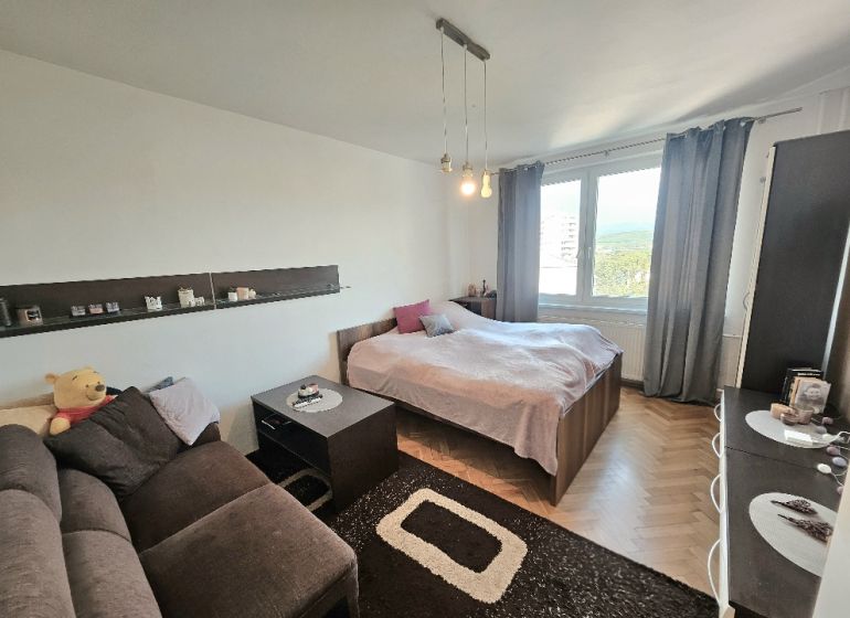 A cozy room in a one-bedroom apartment with a comfortable couch and a wooden decor floor.