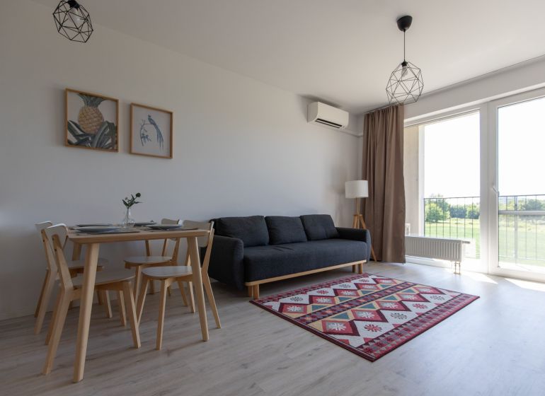 Living room in a two-room apartment with a sofa, dining table, and wooden decor flooring.