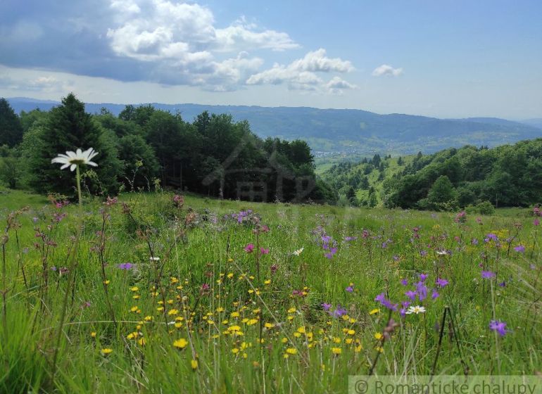 A flower meadow in the Gardens in Hriňová with a panoramic view of hills and trees.
