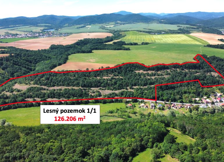 Aerial view of agricultural and forest lands in Domaníky surrounded by forests and fields.