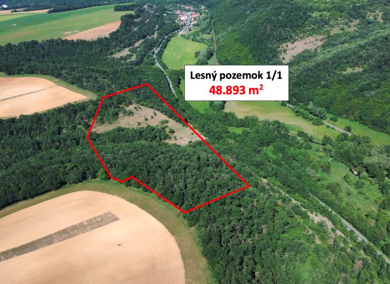 Aerial view of a forest plot in Domaníky with an area of 48,893 m².