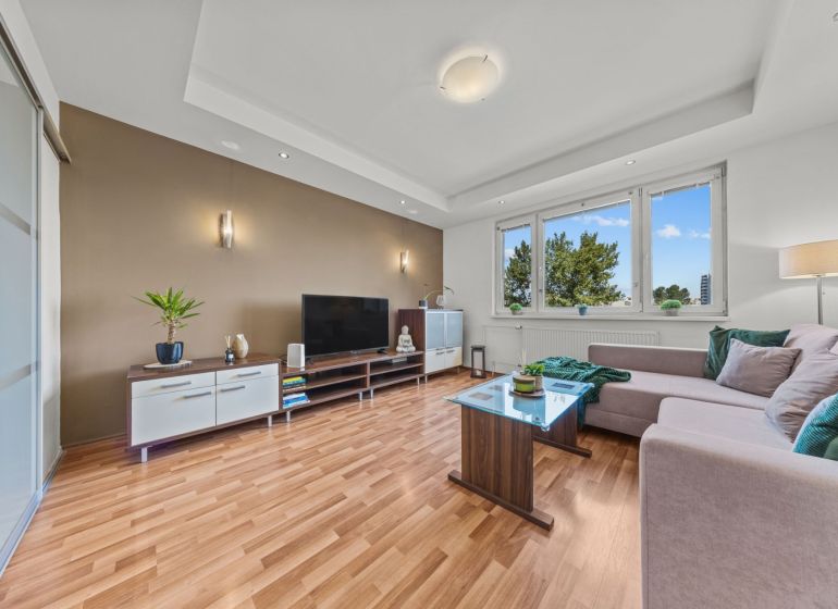 Living room in a 4-room apartment with a sofa and a wooden decor floor.