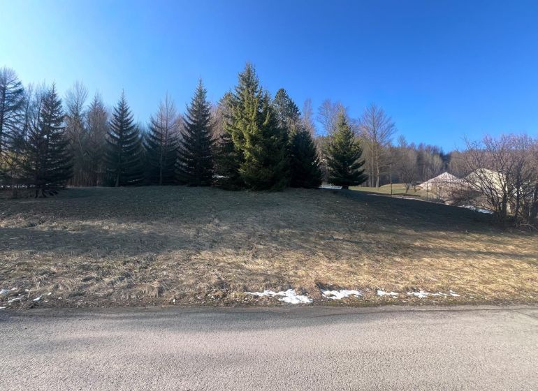 Plots - housing in Donovaly, Banská Bystrica district, Banská Bystrica region with a view of the forest vegetation.