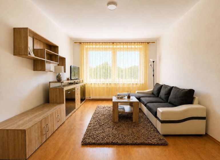 Living room with a sofa, table, and shelving system in a studio apartment.
