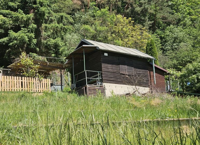 A cottage in Budatín on the edge of the forest, surrounded by greenery and a wooden fence.