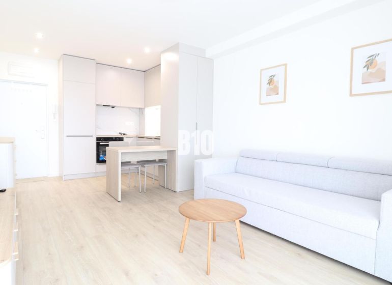 Living room in a two-room apartment with a wooden decor floor, kitchen unit, and sofa.