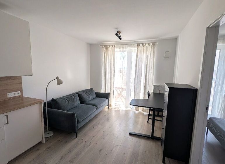 Living room with a sofa, kitchenette, and dining table, floor with wooden decor.