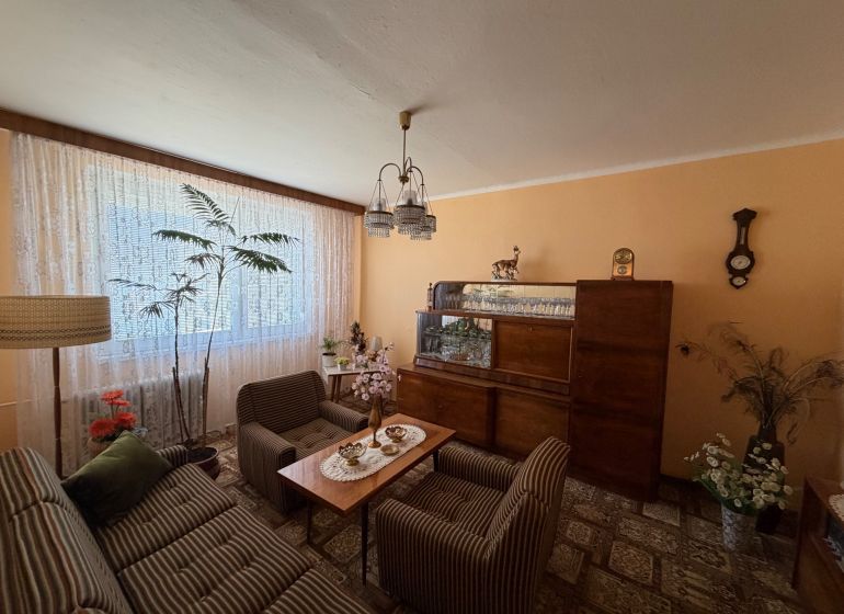Living room in a 2-room apartment with antique furniture and green plants.