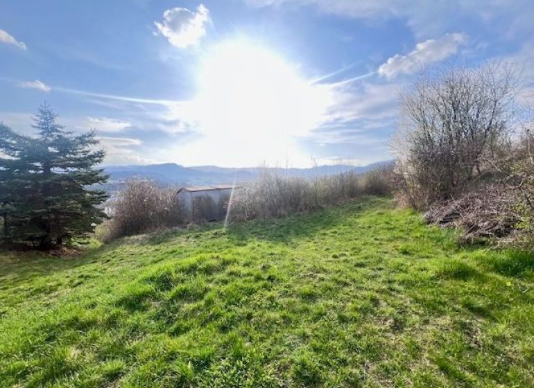 Green plot in Azalkova, Banska Bystrica surrounded by nature and blue sky.