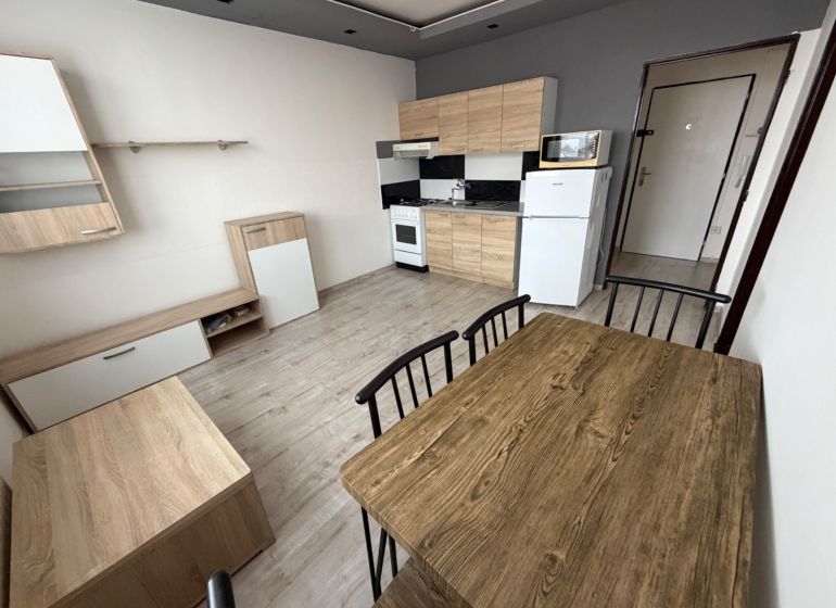 Kitchen and dining area with wood-patterned flooring in a studio apartment.
