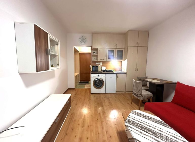 A recreational apartment with a built-in kitchen, a red sofa, and a wooden decor floor.
