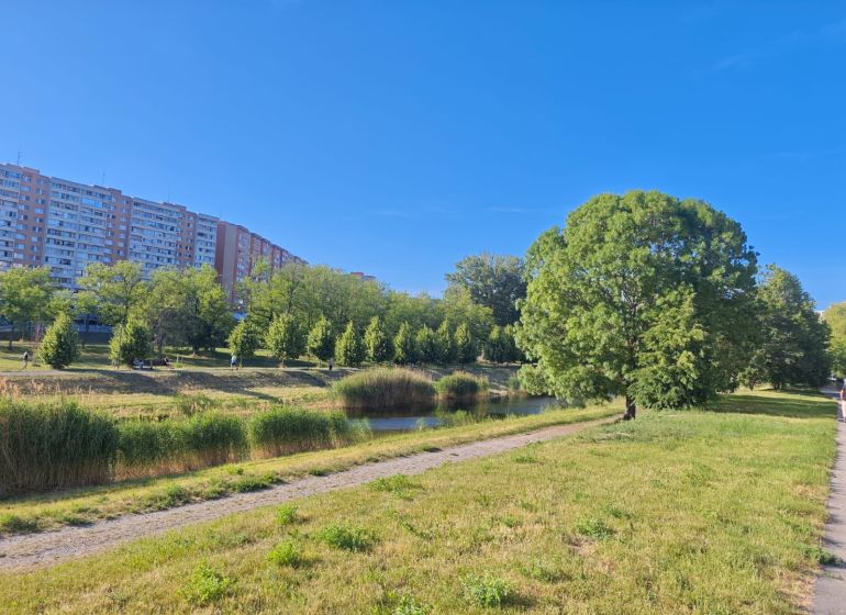 A housing estate with apartment buildings, greenery, and a sidewalk in Petržalka on Lachova.