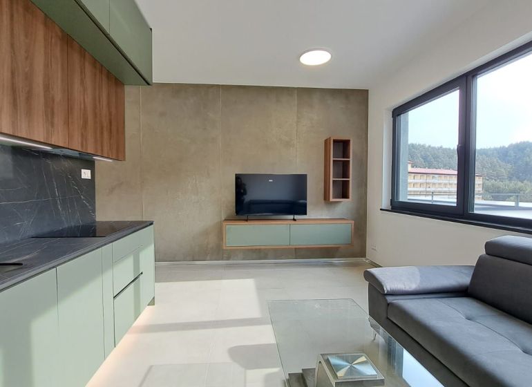 Living room in a 2-room apartment with a sofa, kitchen unit, and TV on the wall.