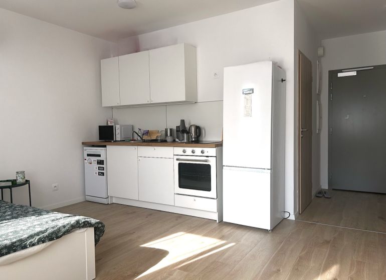 Kitchen area in a studio apartment with wood-patterned flooring and white furniture.