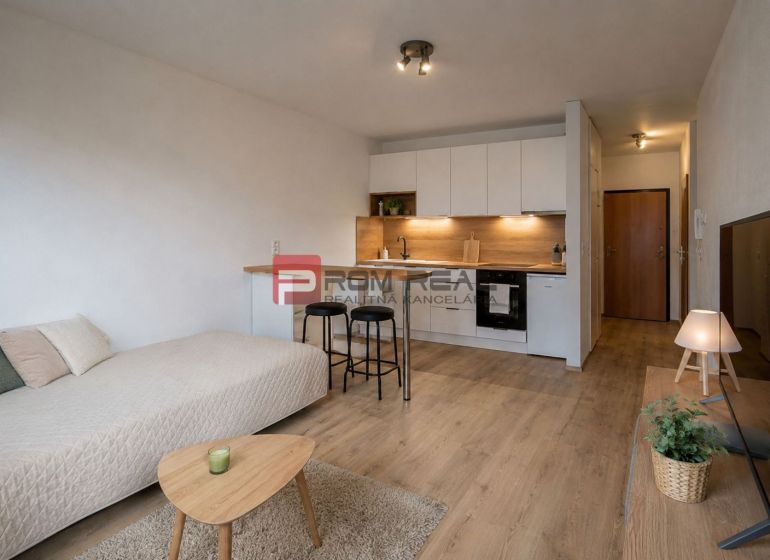 Recreational apartment with wood-decor flooring, sofa, kitchen, and television.