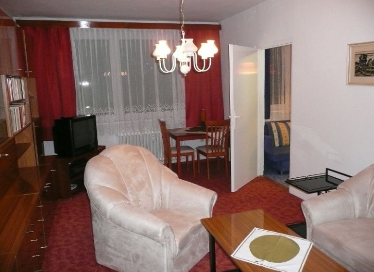 Living room with a red carpet, armchairs, and wooden cabinets in a 2-room apartment.