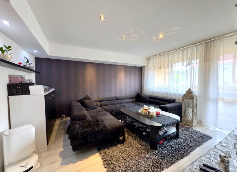 Living room in a 4-room apartment with a dark sofa, wooden decor flooring, and decorations.