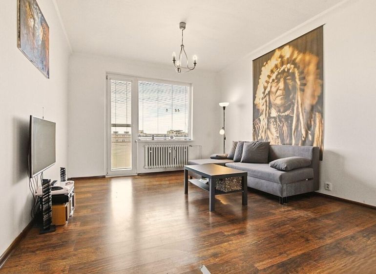 Living room in a two-room apartment with a sofa, TV, and wooden decor flooring.