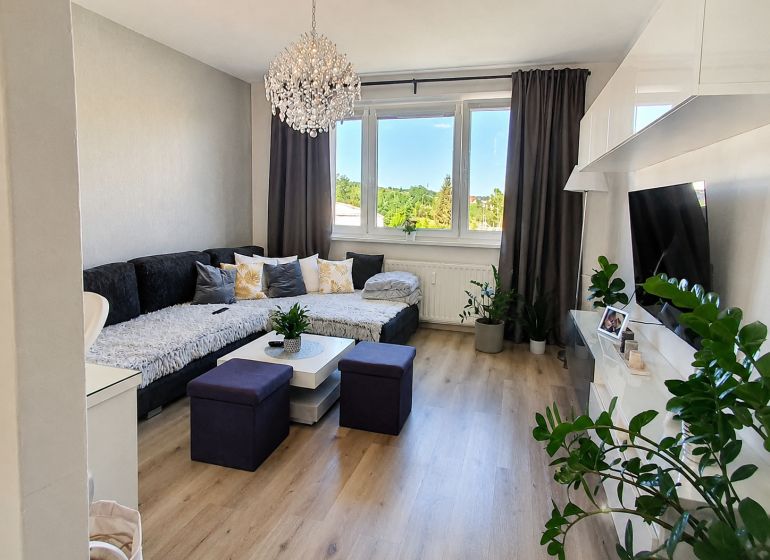 Living room in a two-room apartment with a sofa, television, and wooden decor flooring.