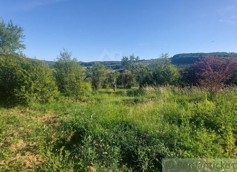 Greenery, trees, and a grassy area in the gardens of Podkylava with mountains in the background.