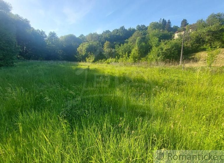 Green meadow surrounded by forest in Podkylava, ideal for residential plots.