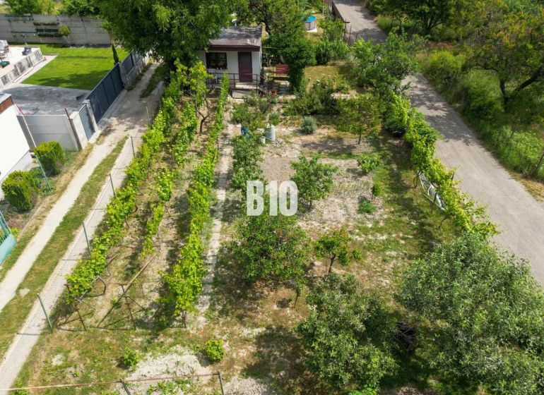 Gardens in Bratislava II with a vineyard, trees, and a shelter, surrounded by pathways.