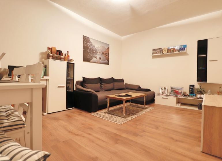 Living room in a two-room apartment with a sofa and wooden decor flooring.