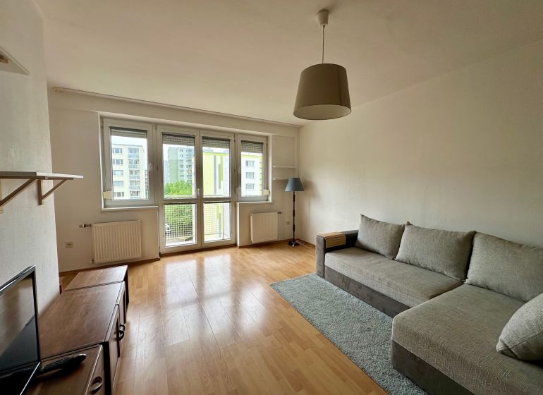 Living room with a sofa bed, wood-patterned flooring, and a television in a studio apartment.