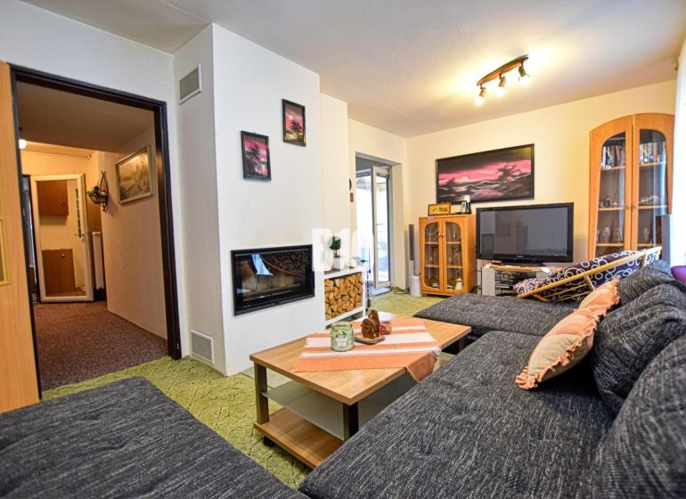 Living room of a cottage with a comfortable sofa, fireplace, and television.