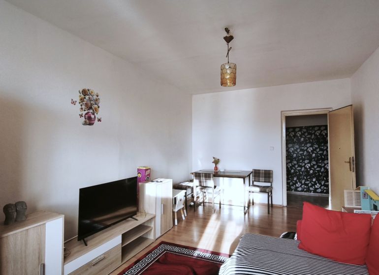 Living room in a two-room apartment with red cushions and a wooden decor floor.