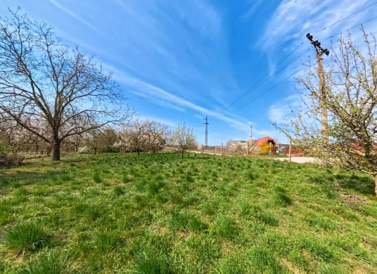A grassy plot with trees in Lužianky on Korytovská, designated for commercial purposes.