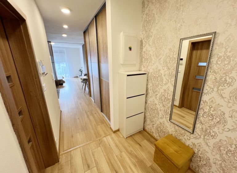 A hallway in a one-room apartment with a wooden decor floor and a mirror on the wall.