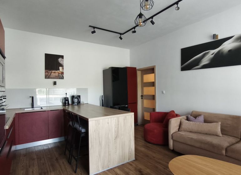 A kitchen with an island in a 2-room apartment, a floor with a wooden decor, a comfortable sofa.