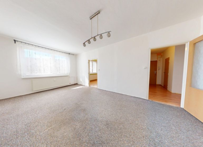A bright living room in a three-room apartment with a carpet and ceiling lighting.
