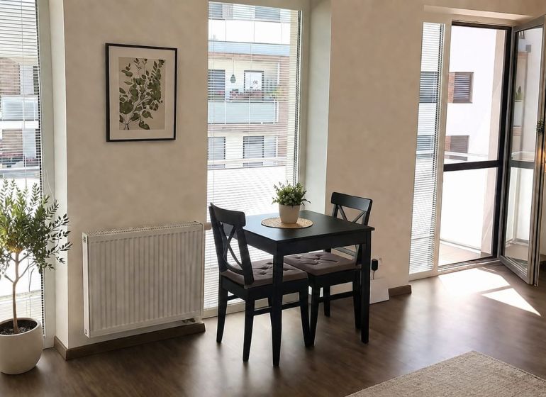 Dining area with a black table and a plant in a studio apartment with a balcony.