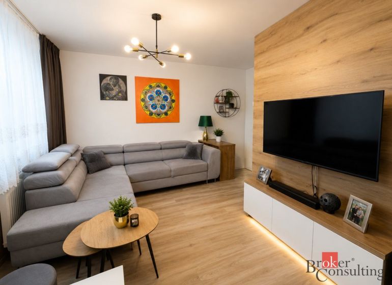 Living room in a one-room apartment with a gray sofa and a wooden decor floor.