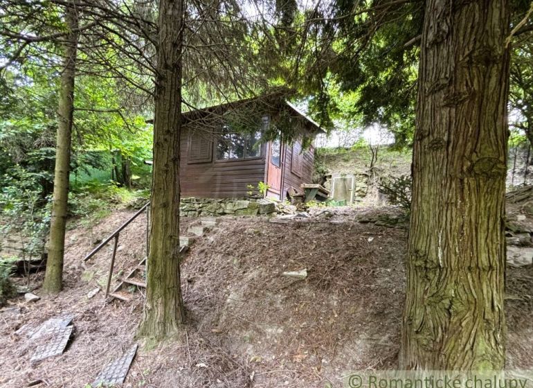 A wooden cabin in the forest on a slope in Bratislava IV, surrounded by green trees.