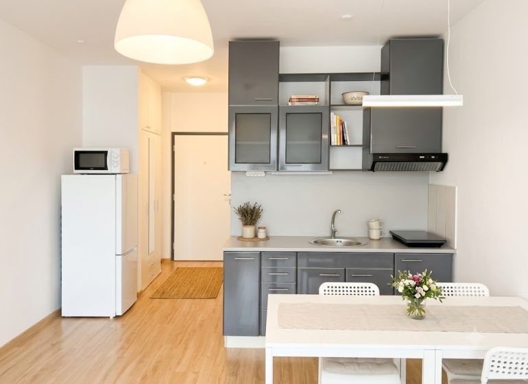 A kitchenette in a studio apartment with a wooden-patterned floor and gray cabinets.