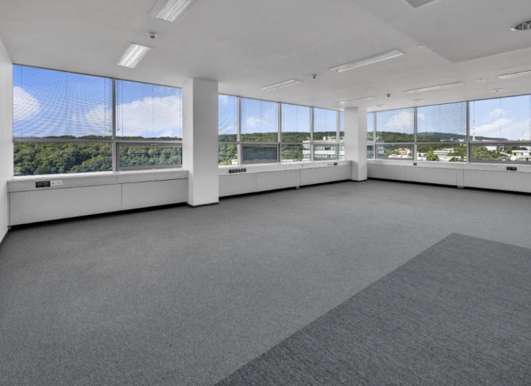 Spacious offices with carpeted floors and large windows offering views of nature.