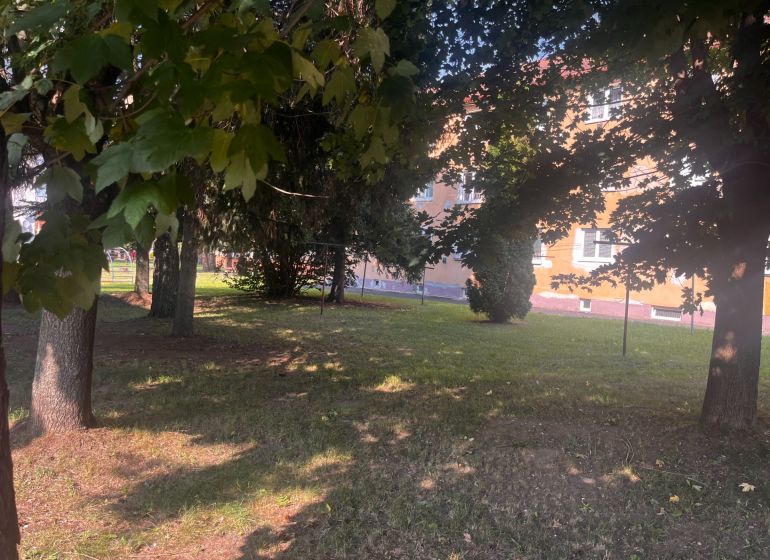 Trees and lawn near the building in the town of Kežmarok on Gen. Štefánika.