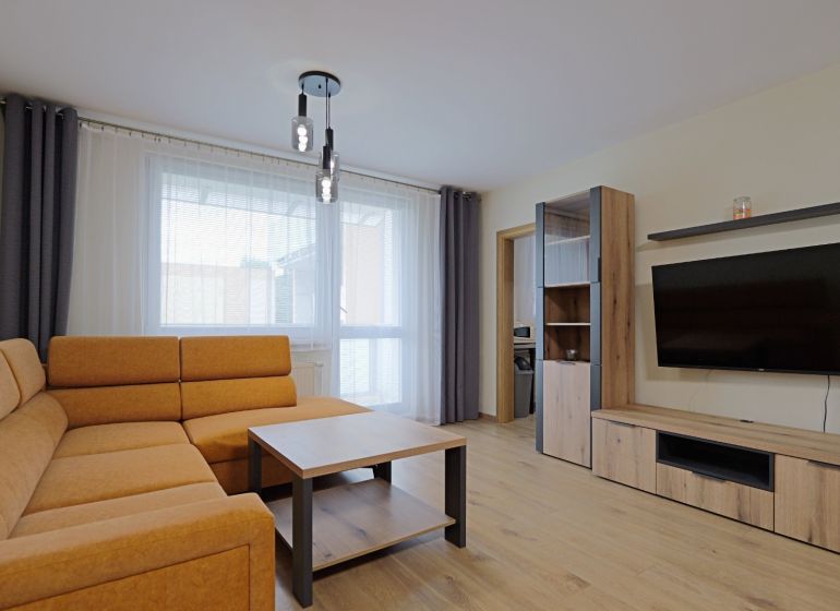 Living room in a studio apartment with a sofa, TV, and wood-patterned flooring.