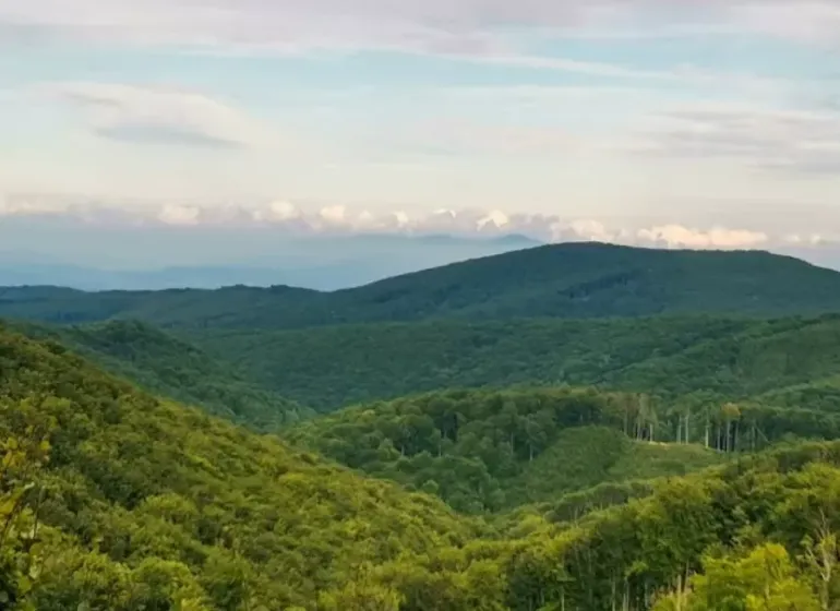 Mountain forests and hills surrounding agricultural and forest lands near Veľké Ozorovce.