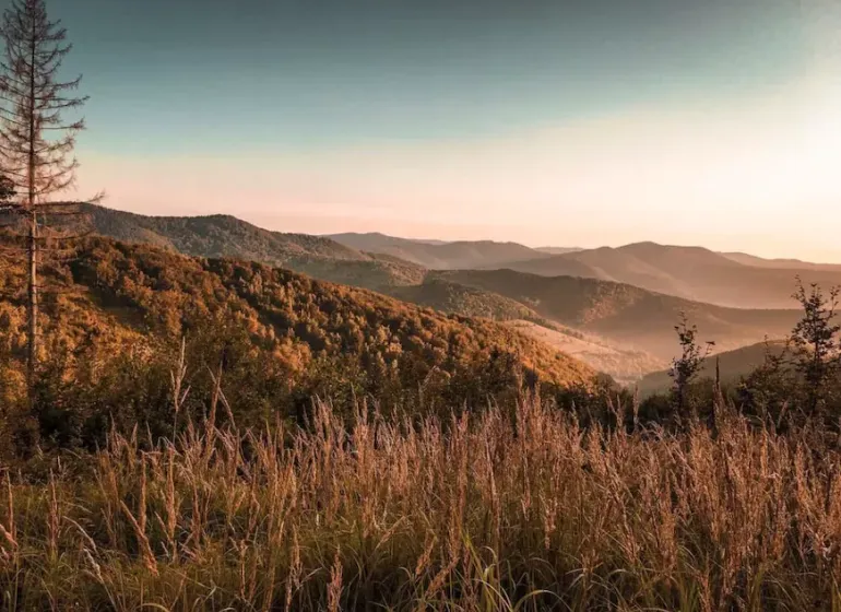 Autumn landscape of agricultural and forest lands in Dohňany, golden hills and grass.
