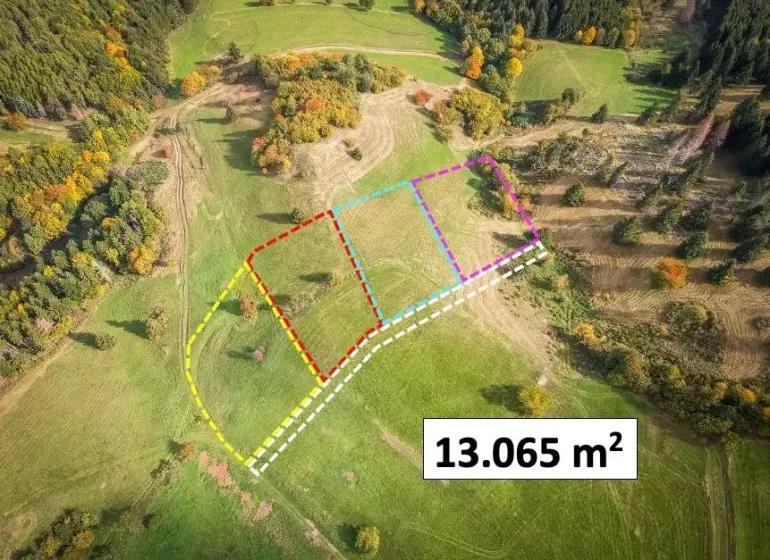 Extensive green areas with marked plots in Banská Štiavnica (Special properties).