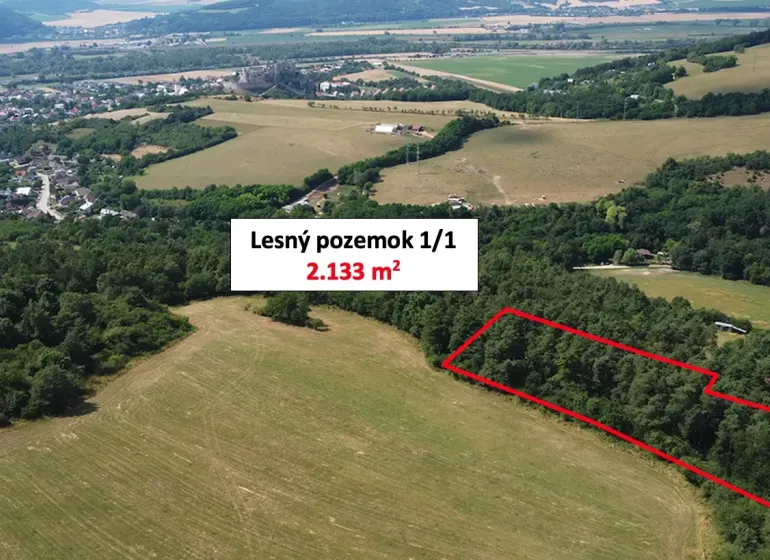 A large forest plot of 2,133 m² in the gardens of Beckov.