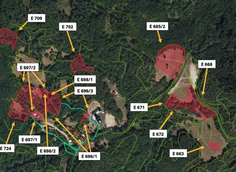 Agricultural and forest lands around Prochot, marked with parcel numbers.