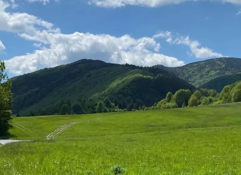 Green meadows and forests surrounded by hills in Veľký Lipník on agricultural and forest lands.