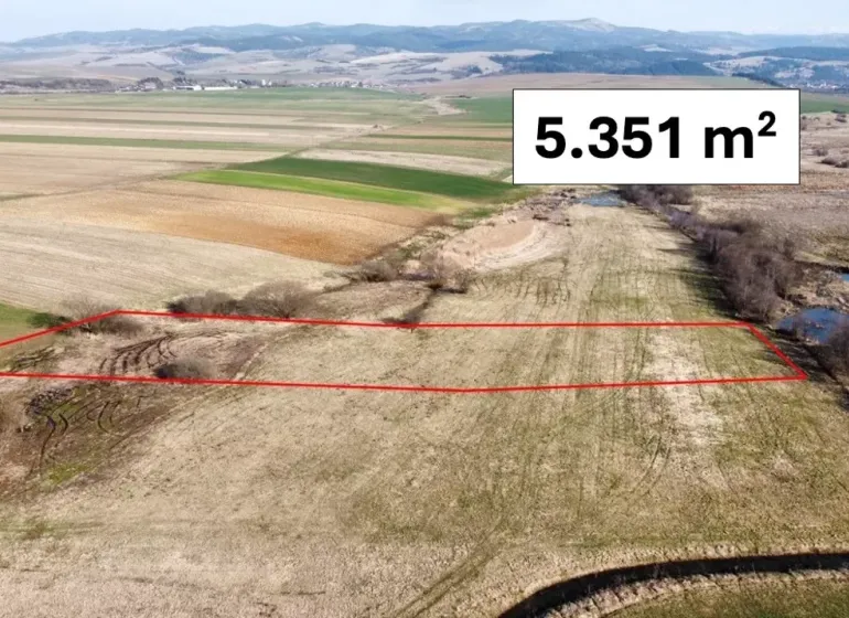 Agricultural and forest lands in Podhorany with marked plot area on flat fields.