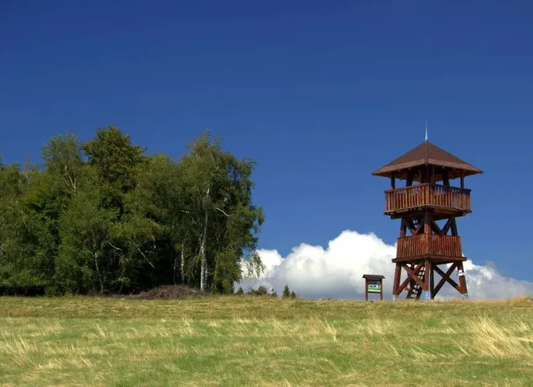 Lookout tower next to the forest on the edge of a field in the vicinity of Polina, area of agricultural and forest land.